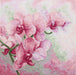 Cross Stitch Kit Luca-S - Graceful Orchids B7009 - Luca-S