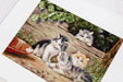 Cross Stitch Kit Luca-S - Kittens, B556 - Luca-S