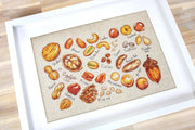Cross Stitch Kit Luca-S - Nuts and seeds, B1165 - Luca-S