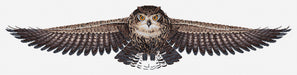 Cross Stitch Kit Luca-S - The Owl, CD005 Cross Stitch Kits - HobbyJobby