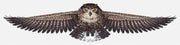 Cross Stitch Kit Luca-S - The Owl, CD005 Cross Stitch Kits - HobbyJobby