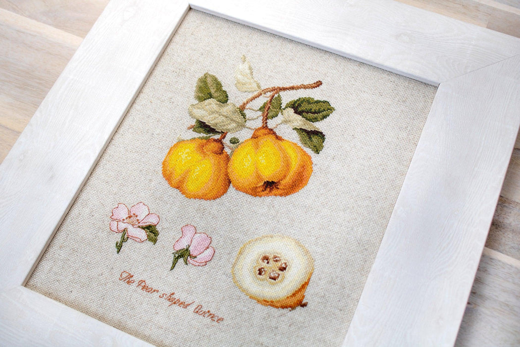 Cross Stitch Kit Luca-S - The Pear shaped Quince - HobbyJobby