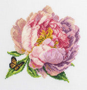Cross Stitch Kit with Hoop Included Luca-S - BC206 ’’Rozella’’ Peony Cross Stitch Kits - HobbyJobby