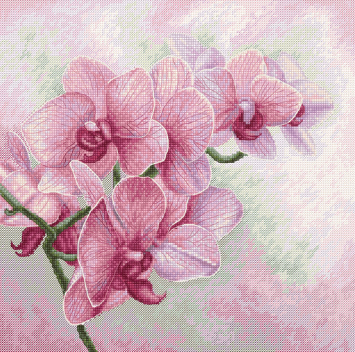 Cross Stitch Pattern Luca-S - Graceful Orchids, P7009 - HobbyJobby