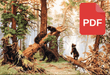 Cross Stitch Pattern Luca-S - Morning in a pine forest P452 Pattern - HobbyJobby