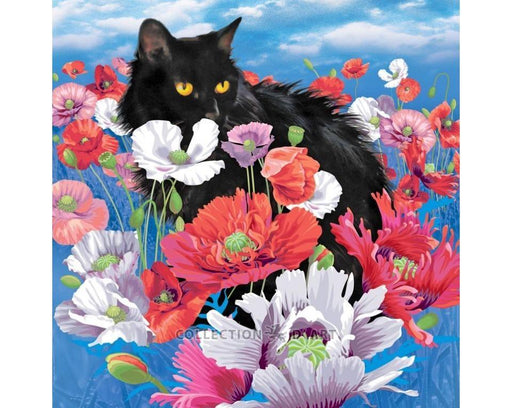 Diamond Embroidery Painting RTO - Cat among poppies DIAMOND PAINTING KIT - HobbyJobby