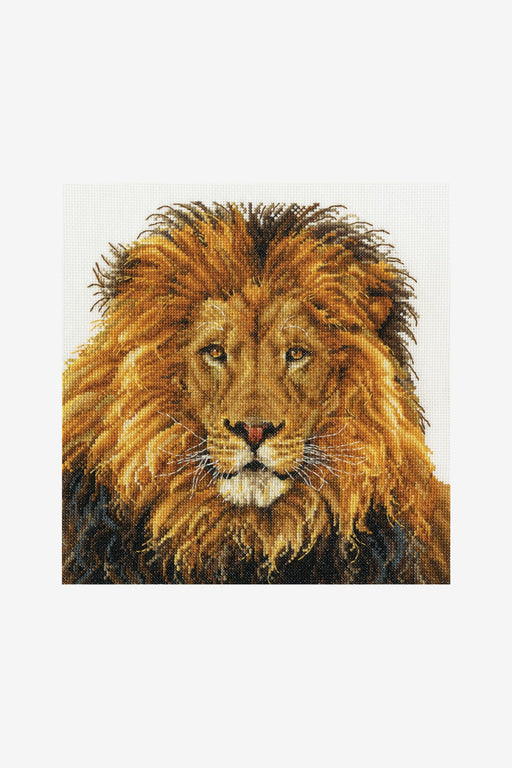 DMC Cross Stitch Kit - The Lion‚Äôs Pride, BK1668 Cross Stitch Kits - HobbyJobby