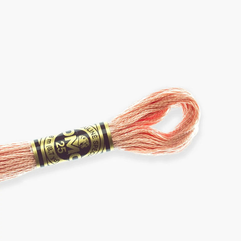 DMC Stranded Cotton - DMC color 758 Stranded Cotton - HobbyJobby