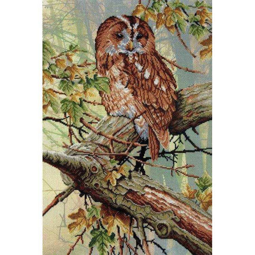 MP Studia Kits on Designer Canvas - In Forest Lace MP Studia Cross Stitch Kits - HobbyJobby